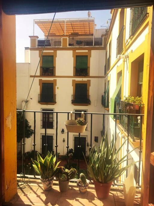 Ferienwohnung Plaza Cristo De Burgos Sevilla Exterior foto